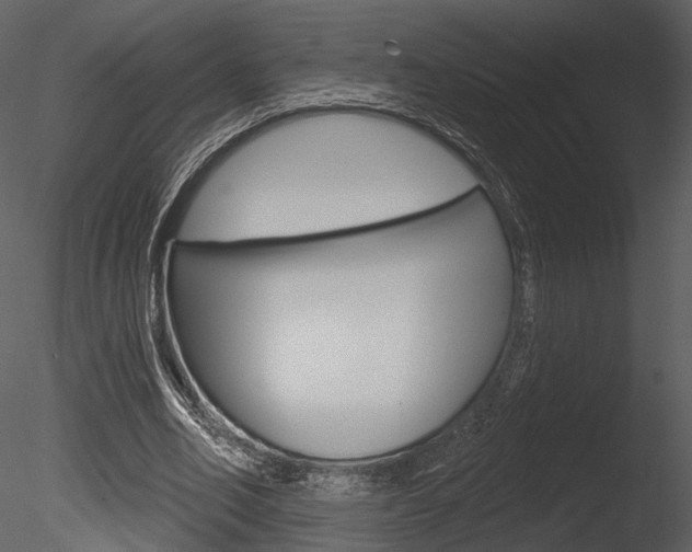 X0000085770582200703160935