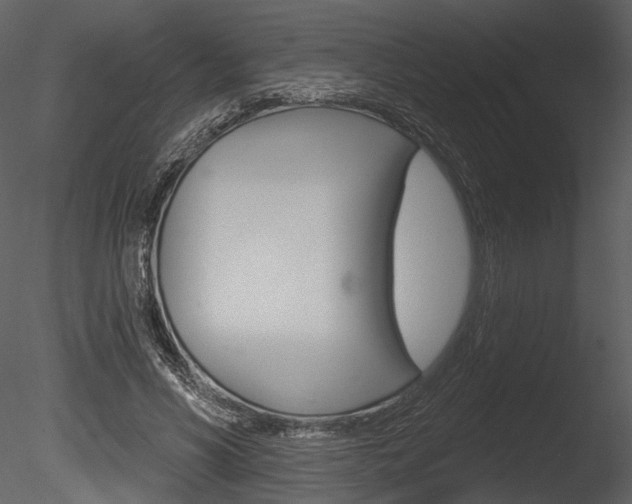 X0000085770590200703160935