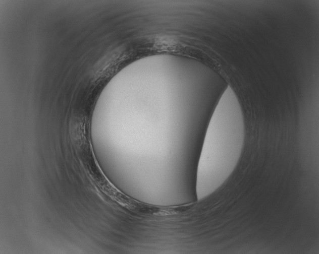X0000085770603200703160934