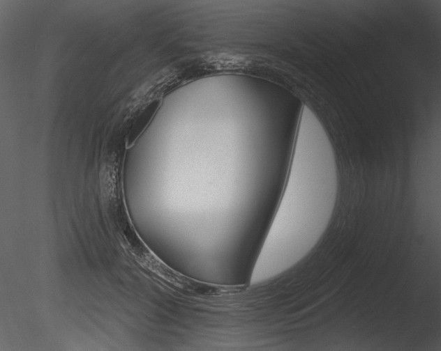 X0000085770604200703160934