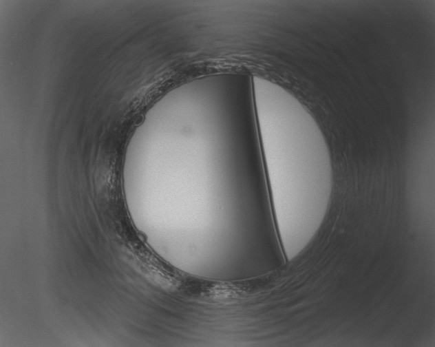X0000085770608200703160934