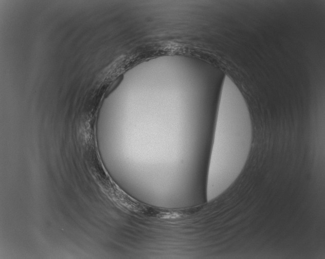 X0000085770611200703160934