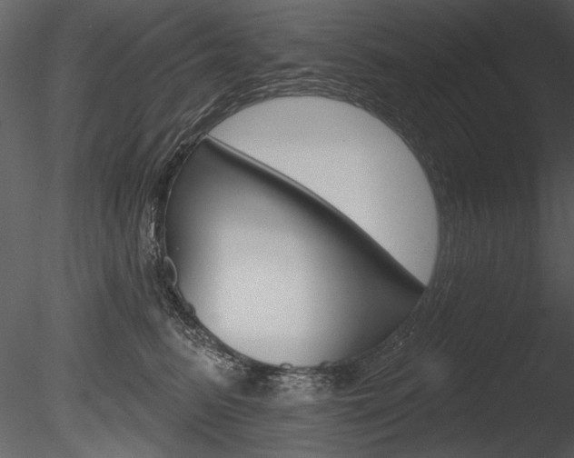 X0000085770615200703160934