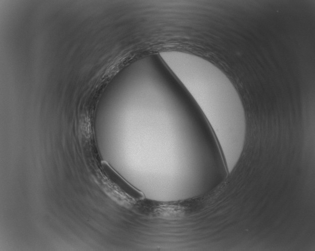 X0000085770617200703160934