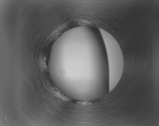 X0000085770621200703160934