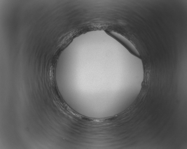 X0000085770623200703160934
