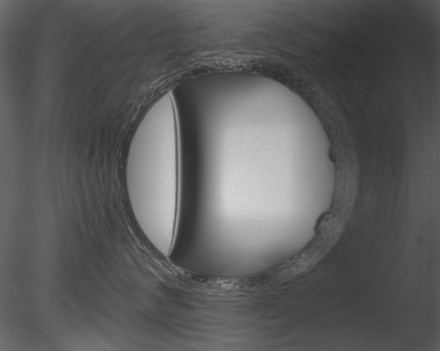 X0000085770624200703160934