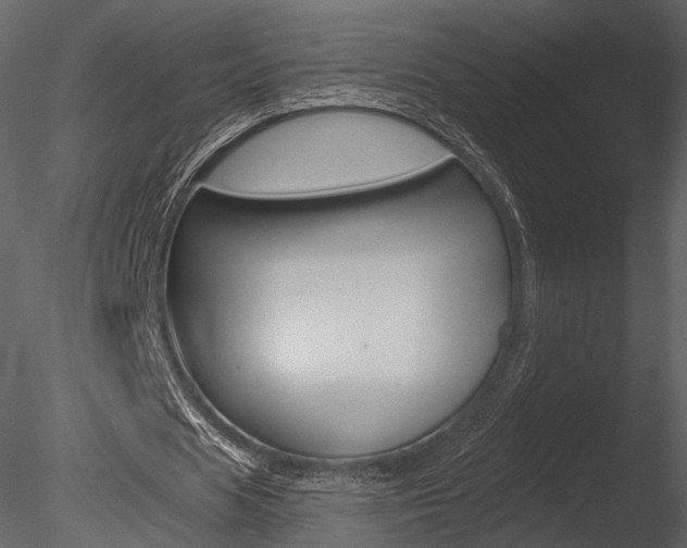 X0000085770625200703160933