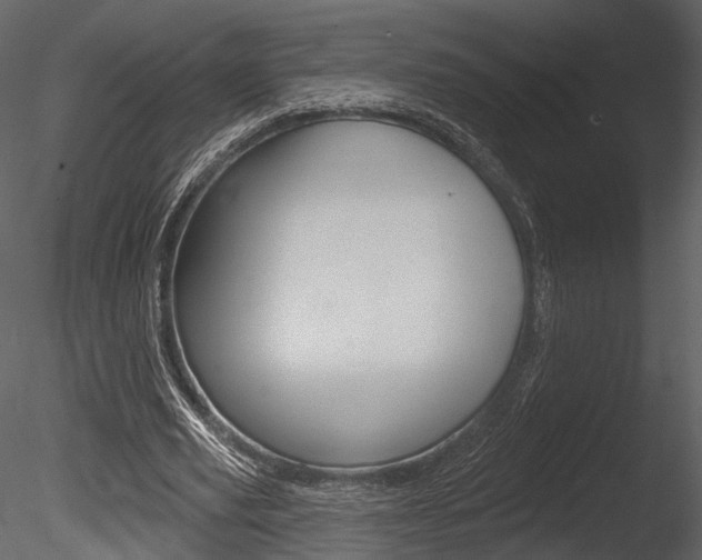 X0000085770629200703160933