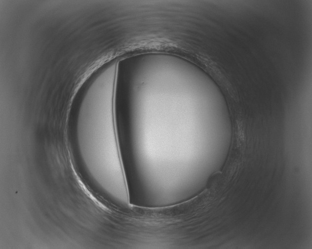 X0000085770630200703160933