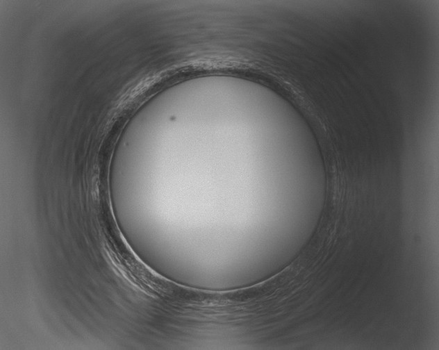 X0000085770631200703160933