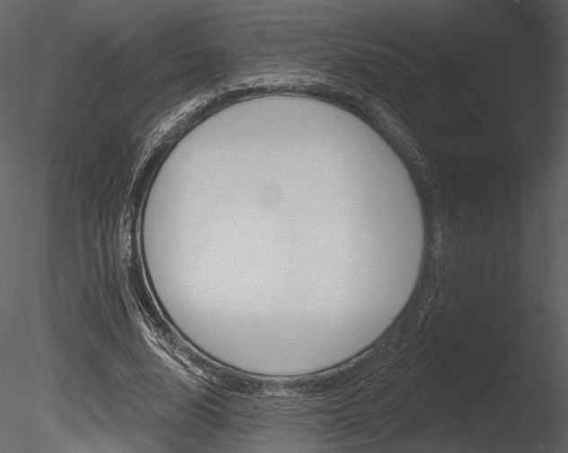 X0000085770632200703160933