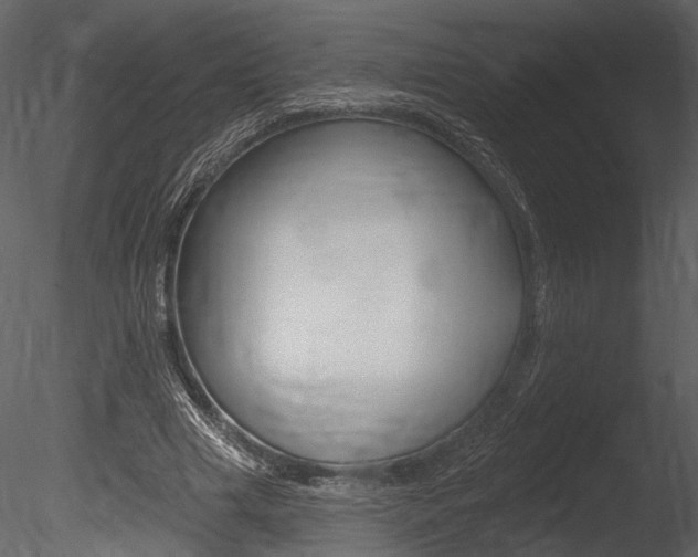 X0000085770633200703160933