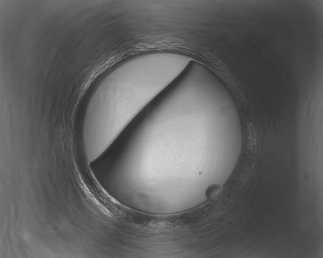 X0000085770634200703160933