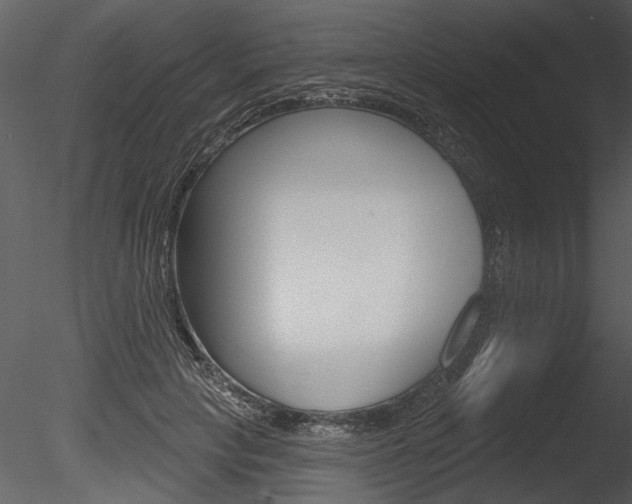 X0000085770649200703160934