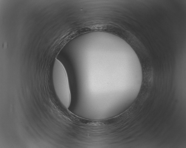 X0000085770652200703160934