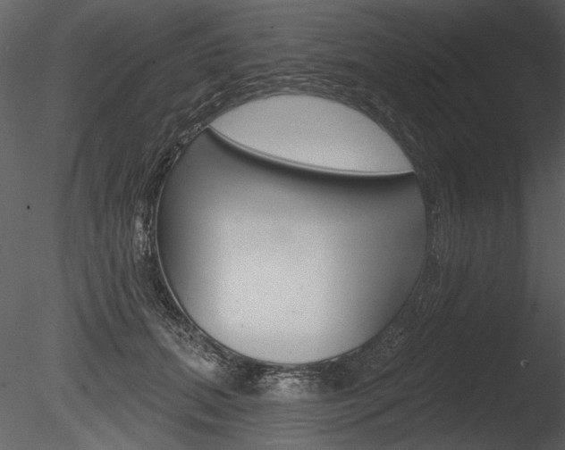 X0000085770655200703160934