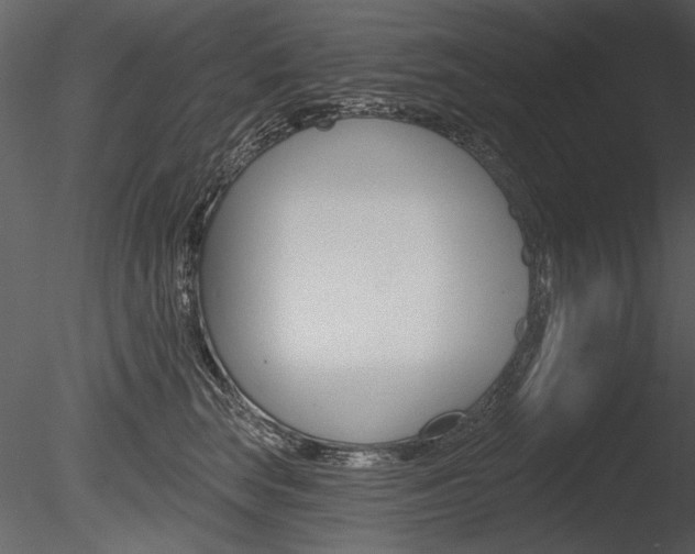 X0000085770663200703160934