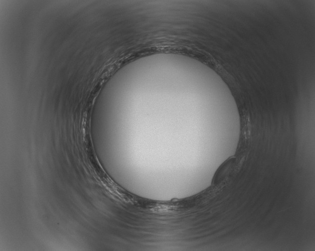 X0000085770664200703160934