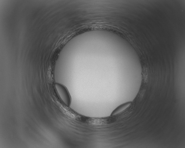 X0000085770670200703160934