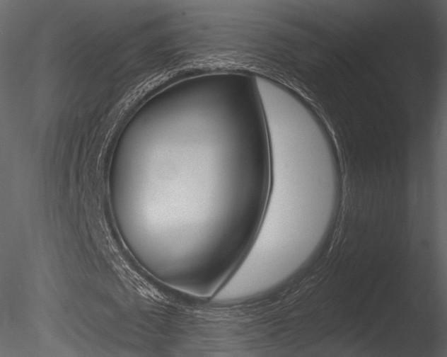 X0000085770673200703160933