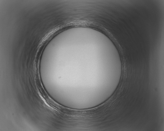 X0000085770674200703160933