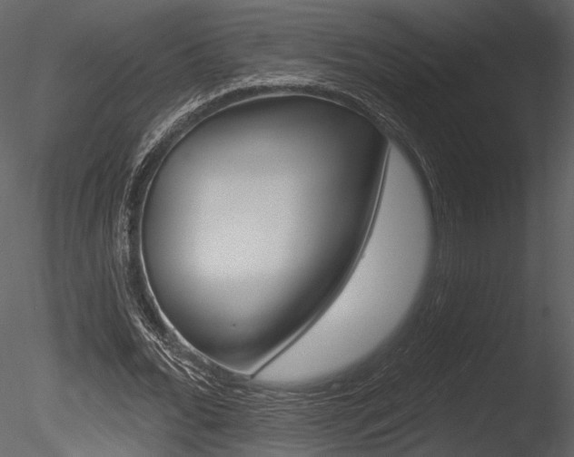 X0000085770676200703160933