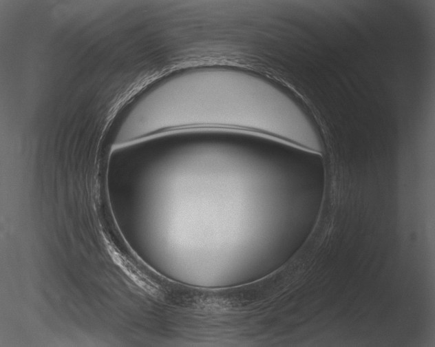 X0000085770677200703160933