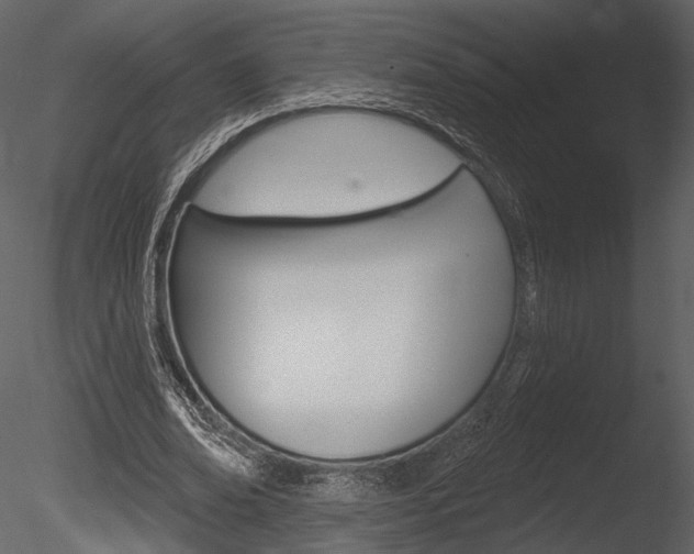 X0000085770678200703160933