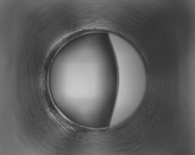 X0000085770680200703160933