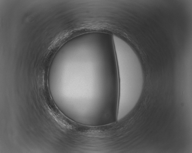 X0000085770685200703160933