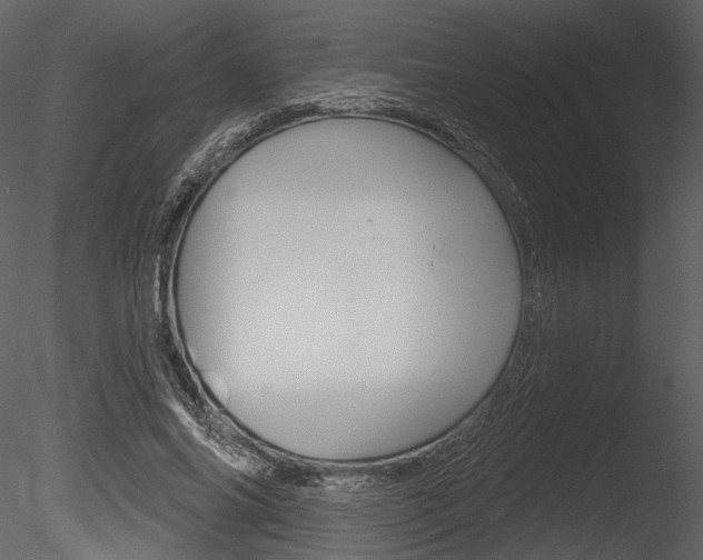 X0000085770686200703160933