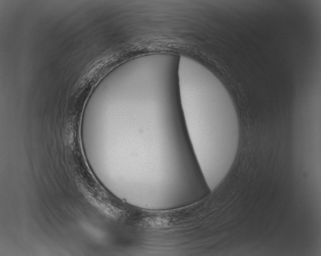 X0000085770687200703160933