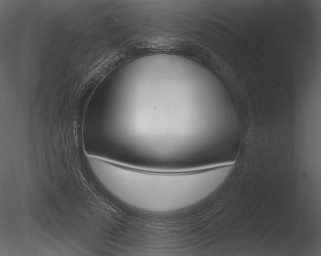 X0000085770689200703160933