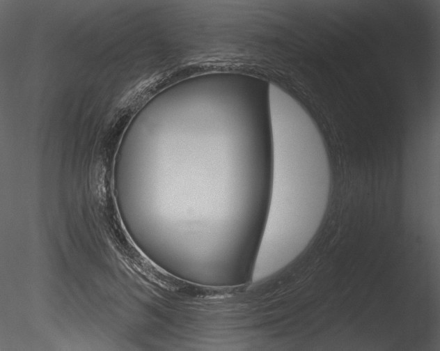 X0000085770692200703160933