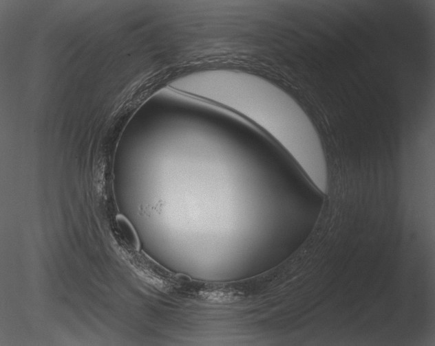 X0000085770693200703160933