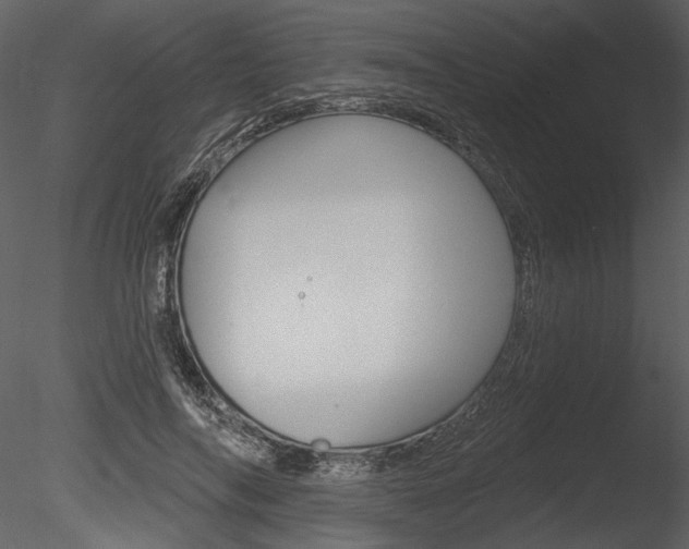 X0000085770694200703160933