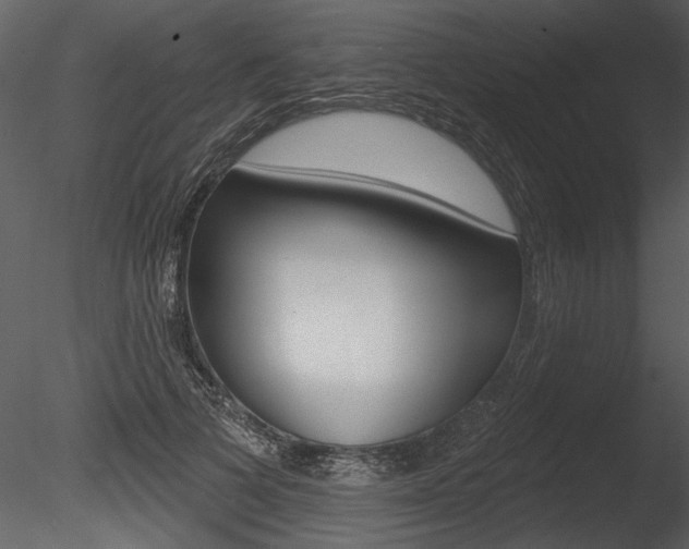 X0000085770697200703160933