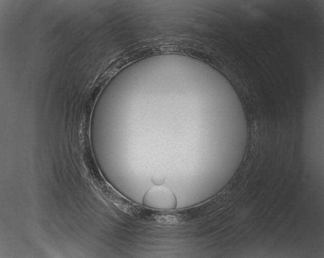 X0000085770698200703160933