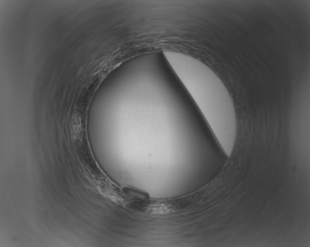 X0000085770704200703160933
