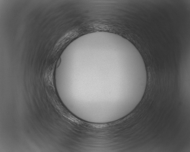 X0000085770705200703160933