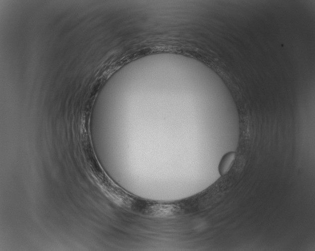 X0000085770711200703160933