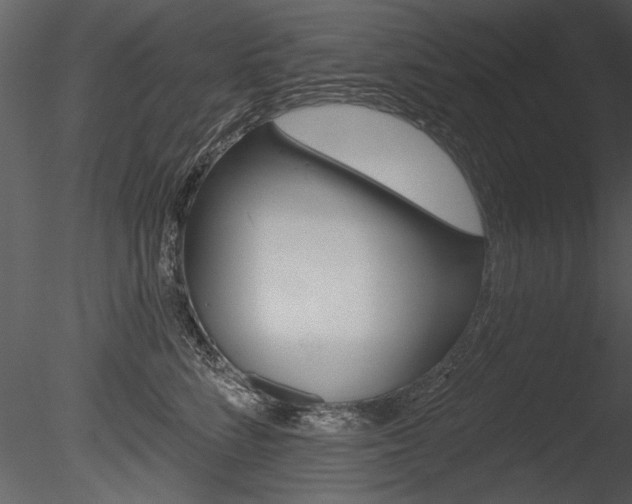 X0000085770712200703160933