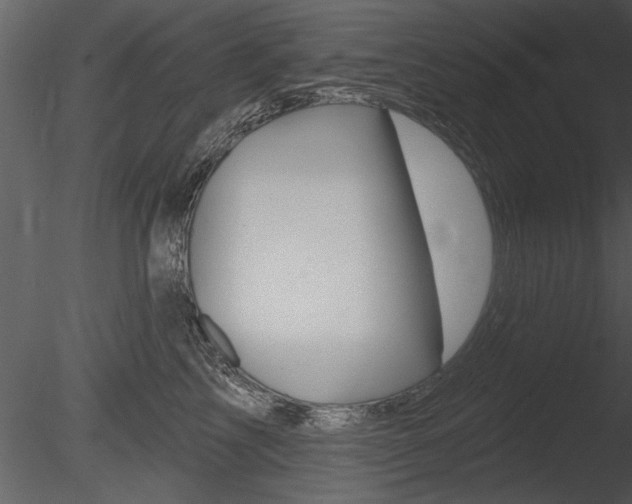 X0000085770713200703160933