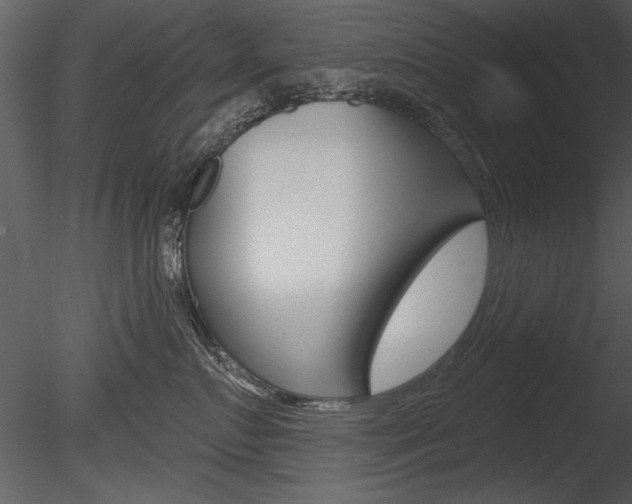X0000085770719200703160932