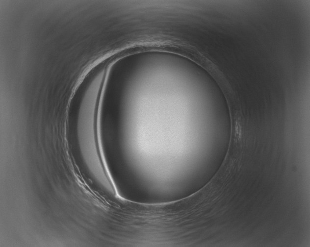 X0000085770724200703160932