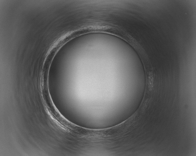 X0000085770726200703160932
