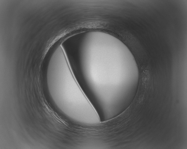 X0000085770727200703160932