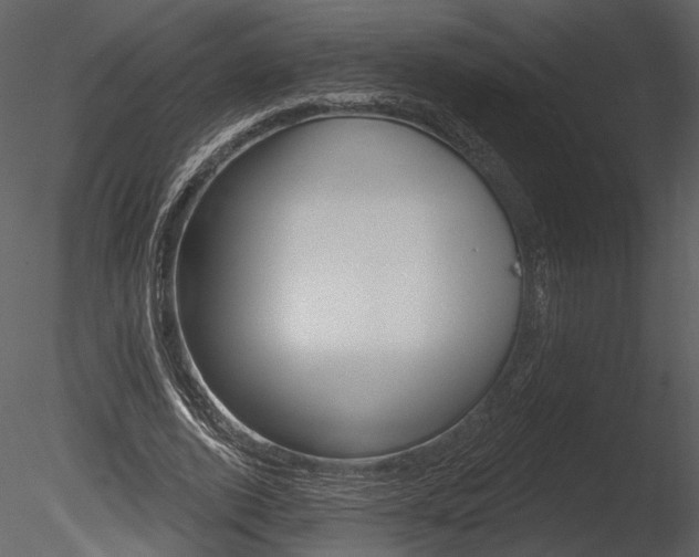 X0000085770728200703160932