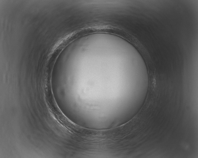 X0000085770732200703160932